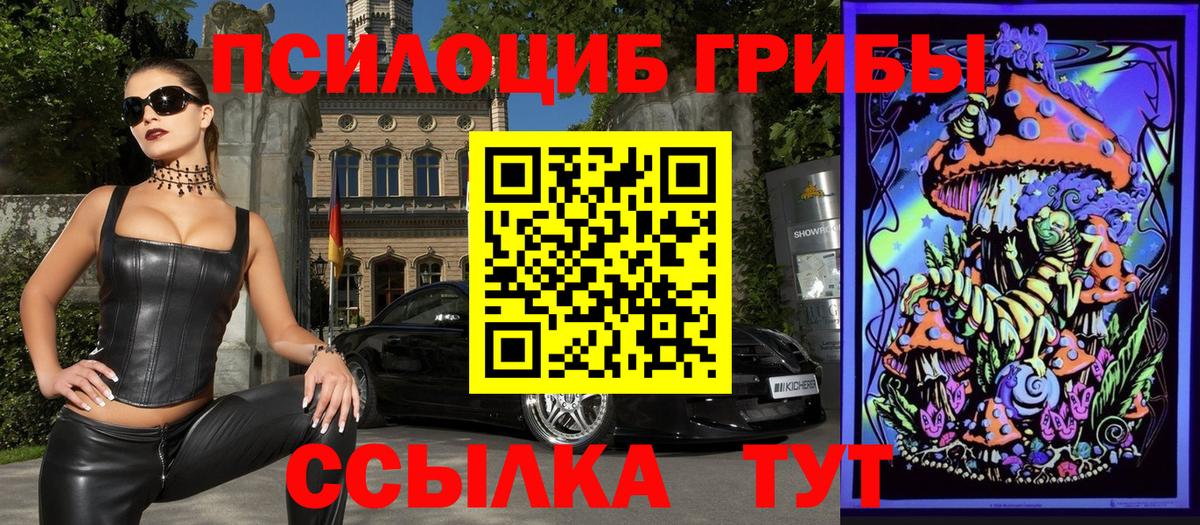Псилоцибиновые грибы GOLDEN TEACHER  Галлюциногенные грибы Magic Shrooms  Вход с VPN  Кувандык 